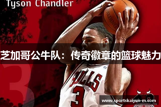 芝加哥公牛队：传奇徽章的篮球魅力